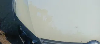 Volkswagen Polo 2011 года выпуска. VIN: XW8ZZZ61ZCG017612. На момент публикации ограничения не установлены. В соответствии с законодательством о банкротстве ранее наложенные аресты снимаются. Покупатель получает имущество свободным от правопритязаний. Финансовый управляющий не гарантирует…