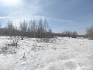 Земельный участок с кадастровым номером 45:21:030207:2, площадь 21826 кв.м, адрес: Курганская обл, р-н Шатровский, с Шатрово, ул Федосеева, 77; основной вид разрешенного использования: 6.0.