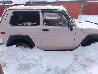 ВАЗ 2121 (4x4), 1992 года, 75 лс, 193 630 км, полный привод, легковой автомобиль, № шасси отсутствует, № кузова XTA212100N0926347, белого цвета. ТС б/у, возможно наличие скрытых дефектов, физическое, техническое состояние, комплектность проверяется при личном осмотре.
