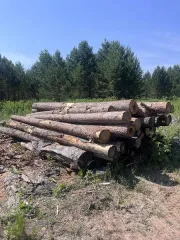 Древесина лиственница и ель, 10,409 куб.м, Абанский район, п. Озерный: 19 сортиментов лиственницы по 6 м – 6,751 куб.м, 15 сортиментов ели – 3,658 куб.м (1177 ВД/МВД/СО 2026г.) Местоположение: п. Озерный, Абанского района. Хранение на открытой местности. Количество и породный состав: 19 сортиментов…
