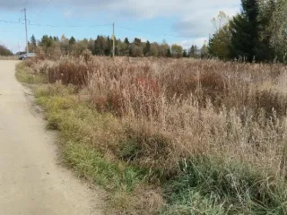 Нежилое здание 36 кв.м и земельный участок 1776 кв.м в Ленинградской области. Объект расположен по адресу: Ленинградская область, Гатчинский район, деревня Большие Борницы, улица А. Золотарева, дом 1. Кадастровые номера: 47:23:0147002:313 (здание), 47:23:0147002:343 (земельный участок). Земельный…