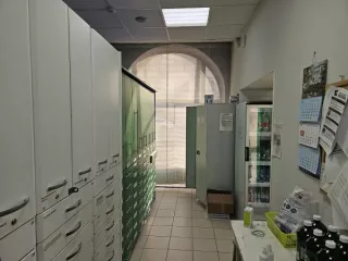 Продажа имущества, находящегося в собственности города Москвы, нежилое помещение по адресу: г. Москва ул. Коминтерна, д. 13/4, площадью 293,3 кв. м (этаж № 1), кадастровый номер: 77:02:0010008:4802 Продажа имущества, находящегося в собственности города Москвы, нежилое помещение по адресу: г. Москва…
