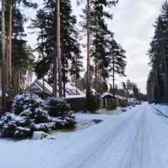 ½ доли в праве общей долевой собственности на здание и земельный участок 1/2 доли в праве общей долевой собственности на здание, общей площадью 210, 2 кв.м., расположенного по адресу: Ленинградская обл., Всеволожский р н, на пересечении Средне Выборгского шоссе и дороги на дер. Елизаветинка, ДНП…