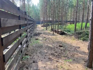 Земельный участок 984 кв.м для дачного строительства Красноярский край Земельный участок, по адресу: Местоположение установлено относительно ориентира, расположенного в границах участка.Ориентир с. Устюг. Почтовый адрес ориентира: Красноярский край, Емельяновский район, трапеция 4452, контур 453р…