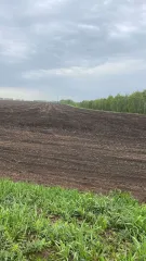 Земельный участок 1/250 доля в праве, кадастровый номер: 02:22:000000:3586, виды разрешенного использования: Для сельскохозяйственного производства, местоположение установлено относительно ориентира в границах участка, почтовый адрес ориентира: Республика Башкортостан, Дюртюлинский район…