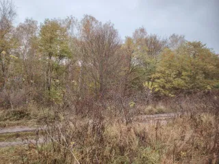 Земельный участок 665 кв.м Курская область, площадь 665 +/-9 кв.м., адрес: Курская обл., г. Курск, снт «Вишенка», участок 337, кадастровый номер: 46:29:102106:290, категория земель: Земли населенных пунктов, разрешенное использование: для садоводства и огородничества