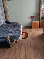 Доля квартиры 12,3 кв.м в Тверской области, 1/3 доли в праве на квартиру. Адрес: Тверская область, Вышневолоцкий район, сельское поселение Коломенское, железнодорожная станция Академическая, дом 4, квартира 4. Кадастровый номер: 69:06:0190601:49. Вид собственности: общая долевая. Назначение: жилое…