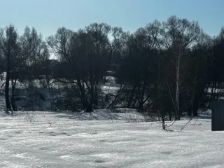 Земельный участок 1667 кв.м, Московская область. Кадастровый номер 50:33:0030253:685. Основной вид разрешенного использования 2.2.