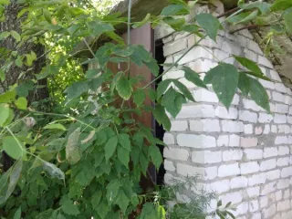 Земельный участок площадью 5300 кв.м с кадастровым номером 32:01:0280620:11 (реестровый номер федерального имущества П11340000968) по адресу: Брянская область, р-н Брасовский, рп. Локоть, ул. Маркова, д. 3А, с расположенными на нем объектами недвижимости: здание лаборатории площадью 143,2 кв.м с…