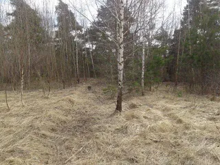 Земельный участок площадью 1152 кв.м и жилой дом 52 кв.м. Адрес: Ивановская область, г. Юрьевец, ул. Тургенева, дом 47. Кадастровый номер участка: 37:22:010208:57, дома: 37:22:010208:123. Назначение дома: жилое. С 1 марта 2025 года вступил в силу Федеральный закон от 26.12.2024 № 487-ФЗ. Межевание…