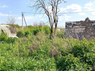 Конечно, пришлите текст объявления, и я его оптимизирую согласно вашим требованиям.