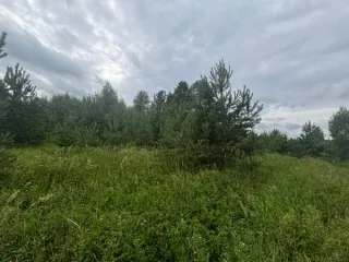 Земельный участок, 1723 м², Московская область, с КН 50:29:0040704:351. Площадь: 1723 м². Кадастровый номер: 50:29:0040704:351. Основной вид разрешенного использования: 2.1.