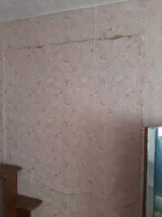 Помещение жилое Кадастровый номер: 60:27:0140202:174 Номер  этажа: Этаж № 3 Площадь: 24,6 кв.м Вид права: Общая долевая собственность, 2/3 Адрес: 180014, г. Псков, ул.Н.Васильева, д.83А, кв.29 Площадь при выделении доли	16,4 кв. м.