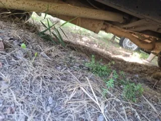 ГАЗ-32214 2006 года, VIN X9632214060481716. Пробег 378532 км. Автомобиль скорой медицинской помощи. Объем двигателя 2464 см³, мощность 75,8 кВт, экологический класс нулевой. Коробка передач МКПП, привод задний. Государственный регистрационный знак Н062ЕН26, дата выдачи 2016-11-18.