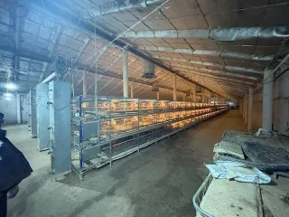 Имущественный комплекс в Татарстане: здание цеха забоя 1072 кв.м, контора 589.3 кв.м, гараж 294.6 кв.м, склад минеральных удобрений 1186.2 кв.м, арочный склад 657 кв.м, зернохранилища 620.4 кв.м и 625.5 кв.м, пункт технического обслуживания 388.7 кв.м, фуражный склад 1124.7 кв.м, зерносклады 629.2…