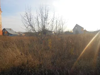 Земельный участок площадью 1500 кв.м, ½ доли в праве общей долевой собственности. Кадастровый номер 33:06:071301:181. Местоположение: Владимирская область, Камешковский район, сельское поселение Сергеихинское, село Фомиха. Категория земель: земли населенных пунктов. Вид разрешенного использования…