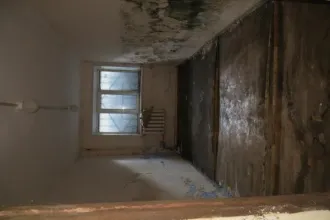 Нежилое помещение 584.8 кв.м по адресу: г. Таганрог, ул. Осипенко, 51. Назначение: нежилое, литер п/А, комнаты: 1-24, 5а, 6а, 6б, 16а, 26-28, этаж: подвал № 1. Кадастровый номер: 61:58:0003277:1199. Вид ограничений и обременений: согласно информационному извещению.