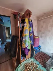 1/14 доли жилого дома 40,6 м² и аренда участка 948 м², Березники, Пермский край. Доля в праве на жилое здание, площадь: 40,6 кв.м., кадастровый номер: 59:03:0000000:7703, и право аренды на земельный участок, площадь: 948 кв.м., категория земель: земли населенных пунктов, разрешенное использование…