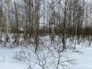 Ежегодная арендная плата за земельный участок, расположенный по адресу:Владимирская область, город Гусь-Хрустальный, улица Булгакова, з/у 4 Земли населенных пунктов. Участок расположен в черте города. Разрешенный вид использования: для индивидуального жилищного строительства (код – 2.1) 
Вид…