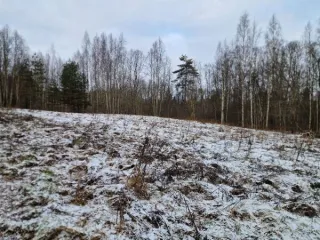 Земельный участок площадью 2718675 кв.м. Категория земель: земли сельскохозяйственного назначения. Кадастровый номер: 60:23:0090110:21. Местоположение: Псковская область, Струго-Красненский муниципальный округ, в районе д. Машутино. Вид разрешенного использования: для разведения и содержания…