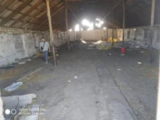 Нежилое здание - птицефабрика, лит. А, общей площадью 1242,3 кв.м, кадастровый номер 06:01:0900001:1635; Нежилое здание - птичник, лит. Г1, общей площадью 1224,6 кв.м, кадастровый номер 06:01:0900001:1889; Земельный участок. Категория земель: Земли населённых пунктов, виды разрешенного…