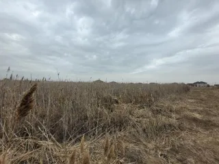 Земельный участок 600 кв.м, Астраханская область, город Астрахань, улица Ореховая. Кадастровый номер 30:12:010451:570. Вид разрешенного использования: для индивидуального жилищного строительства (2.1).