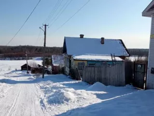 1/2 доля в праве общей долевой собственности на жилой дом. Жилой дом, площадь 44,8 кв.м., назначение: жилое, количество этажей: 1, адрес (местонахождение): Россия, обл Костромская, р-н Макарьевский, г Макарьев, ул 8 Марта, дом 16, кадастровый номер: 44:09:160216:67. Находится в долевой…