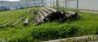 Древесина лиственница, 5,19 куб. м (22 ствола). Реализуется вещественное доказательство по уголовному делу. Товаросопроводительные документы не передавались. Погрузка и транспортировка имущества с места хранения осуществляется покупателем за свой счет. Имущество находится в федеральной…