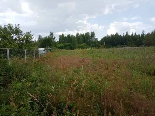 Земельный участок 2500 кв.м ИЖС Вологодская область кадастровый номер 35:22:0208001:357 площадью 2500 +/- 35 кв.м расположен по адресу Вологодская область Череповецкий район Ягницкий сельсовет деревня Пленишник Разрешенное использование под ИЖС