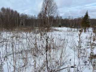 Земельный участок площадью 3 563 кв.м, категория земель: земли населенных пунктов, разрешенное использование: для ведения личного подсобного хозяйства, кадастровый номер: 76:01:083601:14. Адрес: Ярославская область, Большесельский район, деревня Никифорцево, дом 6. В пределах участка…