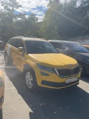 Škoda Kodiaq 2019 года, VIN: XW8LD6NS0LH408507.