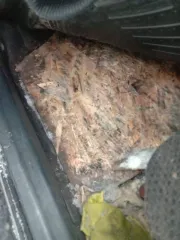 LADA Priora 2008 Легковой автомобиль, марка: LADA, модель: PRIORA, год изготовления: 2008 г.в., VIN: XTA21703080122197, г/н: У79КХ163