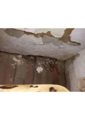 1/4 доли квартиры 35,1 кв.м в Курганской области; еще 1/4 доля квартиры в Курганской обл.; еще 1/4 доля в праве на жилое помещение, площадь: 35,1кв.м., адрес (местонахождение): Курганская область, муниципальный округ Куртамышский, город Куртамыш, улица Лесопильная, дом 4, квартира 2, кадастровый…