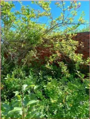 Земельный участок 660 кв.м. с недостроем, Кировская обл., г. Вятские Поляны, сдт. Надежда-2. Категория земель: земли населенных пунктов. Разрешенное использование: садоводство. Кадастровый номер: 43:41:020002:556. На земельном участке расположено недостроенное строение.