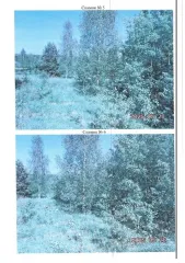 Земельный участок площадью 800 кв.м с кадастровым номером 37:24:020729:190, расположенный по адресу: Ивановская область, город Иваново. Вид разрешенного использования: для индивидуального жилищного строительства (2.1).