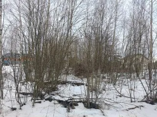 Земельный участок 1715 кв.м, д. Неелово-2, Псковская обл. Земельный участок площадью 1715 ± 27 кв. м, кадастровый номер 60:18:0182302:71. Местоположение: Псковская обл., Псковский р-н, СП «Логозовская волость», д. Неелово-2. Категория земель – земли населенных пунктов. Вид разрешенного…