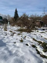 Земельный участок 640+/-9 кв.м., для ведения садоводства, адрес (местоположение): Новосибирская обл., г. Новосибирск, НСТ «Монтажник» ул. Майская, д. 8, кадастровый номер 54:35:081430:4