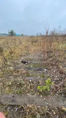 Земельный участок площадью 34338 кв.м. Ханты-Мансийский автономный округ - Югра, город Нижневартовск. Категория земель: земли населенных пунктов, вид разрешенного использования: под существующее сооружение. Кадастровый номер: 86:11:0902001:367.