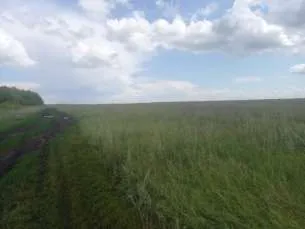 Право долгосрочной аренды земельного участка площадью 1 943 853 кв.м, кадастровый номер: 02:47:121101:10, адрес: Местоположение установлено относительно ориентира, расположенного в границах участка. Почтовый адрес ориентира: Республика Башкортостан, р-н. Уфимский, с/с. Николаевский. Имеются…
