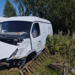 ГАЗ 2705, 2005 года, идентификационный номер (VIN) X9627050060432569.