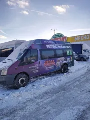 Ford Transit 2014 года выпуска, цвет серебристый. Идентификационный номер (VIN) Z8X224326E0001274. Дизельный двигатель мощностью 155 л.с. Находится в Московской области, Одинцовском городском округе, селе Немчиновка.