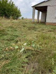 Земельный участок, площадью 4793 +/- 24 кв.м, категория земель: Земли населенных пунктов, разрешенное использование: Для ведения личного подсобного хозяйства, с кадастровым номером: 46:16:110201:337; Расположенный по адресу: Курская область, Обоянский район, д. Знобиловка, ул. Куток, д. 42а…