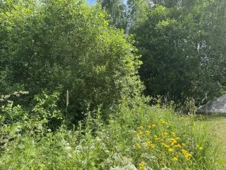 Земельный участок 963 кв.м, ИЖС, Московская область, Волоколамский округ. В соответствии со статьёй 39.18 Земельного кодекса Российской Федерации, информируем о возможности предоставления в собственность земельного участка: кадастровый квартал 50:07:0060312, площадь 963 кв.м, категория - «земли…