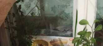 Квартира 50,6 кв.м, 2-комн., Тюменская обл., г. Тюмень, ул. Домостроителей. Квартира в Тюмени, 50,6 кв.м, 2 комн. Квартира в Тюмени, 50,6 кв.м, 2 комн. Квартира, площадью 50,6 кв. м., кадастровый номер 72:23:0221002:3030, адрес: Тюменская обл., г. Тюмень, ул. Домостроителей, д. 8, кв. 27