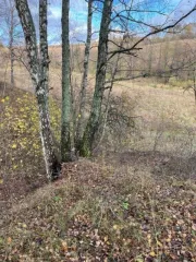 Земельный участок площадью 962 +/- 11 кв. м, категория земель: земли сельскохозяйственного назначения, разрешенное использование: для ведения садоводства, расположенный по адресу: Московская область, Каширский район, ТОО "Каширское", с кадастровым номером: 50:37:0010202:485. Цена: 108810,00 руб.