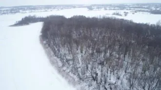 Земельный участок, 81004 кв.м, Псковская обл., р-н Великолукский, СП "Переслегинская волость", земельный массив между д. Русаново и оз. Кислое, кадастровый номер 60:02:0140103:29.