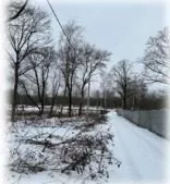 Земельный участок 4441 кв.м Калужская область, с кадастровым №40:13:060104:393, категория земель: Земли сельскохозяйственного назначения, вид разрешенного использования: для индивидуального садоводства и огородничества, местоположение установлено относительно ориентира, расположенного в границах…