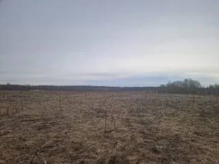 Земельный участок с кадастровым номером 69:10:0000037:1691, площадью 1 077 кв.м., местоположение: Тверская область, Калининский район, Верхневолжское с/п, с.Петровское.