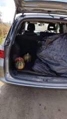 Honda Airwave 2007, номер кузова GJ21104592.