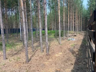 Земельный участок 984 кв.м для дачного строительства Красноярский край Земельный участок, по адресу: Местоположение установлено относительно ориентира, расположенного в границах участка.Ориентир с. Устюг. Почтовый адрес ориентира: Красноярский край, Емельяновский район, трапеция 4452, контур 453р…